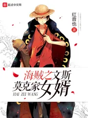 《海贼之文斯莫克家女婿》小说封面