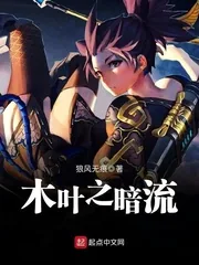 《木叶之暗流》小说封面