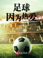 《足球因为热爱》小说封面