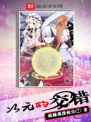 《次元的交错》小说封面