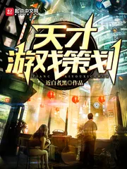 《天才游戏策划》小说封面