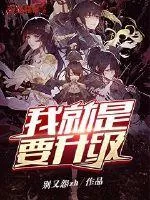 《我就是要升级》小说封面