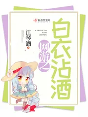《网游之白衣沾酒》小说封面