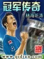 《冠军传奇》小说封面
