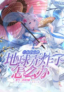 《一不小心把地球弄炸了怎么办》小说封面