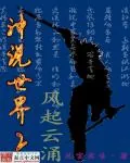 《神说世界之风起云涌》小说封面