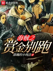 《海贼之赏金别跑》小说封面