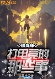 《和妹妹打电竞的那些事》小说封面