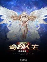 《网游之奇妙人生》小说封面