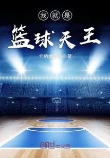 《我就是篮球天王》小说封面