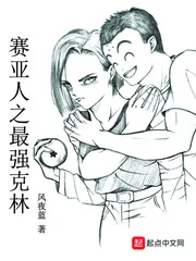 《赛亚人之最强克林》小说封面