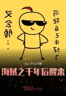《海贼之千年后醒来》小说封面