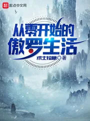 《从零开始的傲罗生活》小说封面