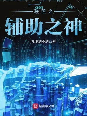 《联盟之辅助之神》小说封面
