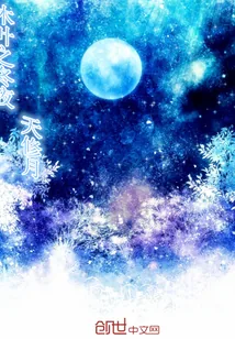 《木叶之冬夜》小说封面