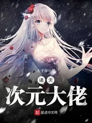 《诸天次元大佬》小说封面