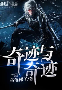 《奇迹与奇迹》小说封面