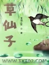 《草仙子》小说封面
