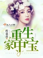 《重生家中宝》小说封面