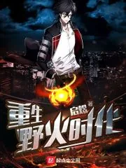《重生野火时代》小说封面