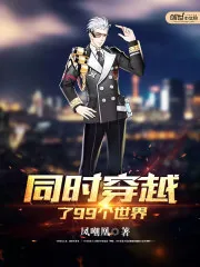 《同时穿越了99个世界》小说封面
