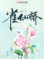 《雀仙桥》小说封面