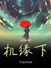 《机缘下》小说封面