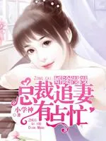 《总裁追妻有点忙》小说封面