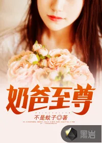 《奶爸至尊》小说封面