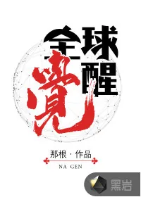 《全球觉醒》小说封面