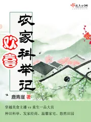 《欢喜农家科举记》小说封面