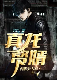 《真龙赘婿》小说封面