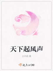 《天下起风声》小说封面