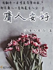 《庸人安好》小说封面