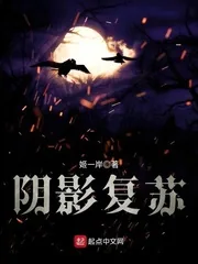《阴影复苏》小说封面