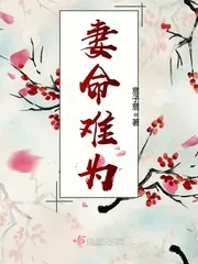 《妻命难为》小说封面