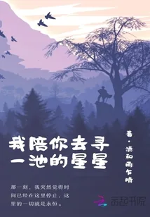 《我陪你去寻一池的星星》小说封面
