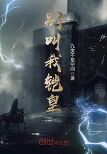 《别叫我铠皇》小说封面