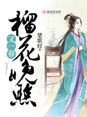 《榴花晚照又一春》小说封面