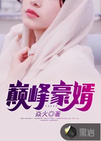 《巅峰豪婿》小说封面