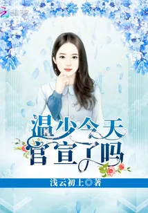 《温少今天官宣了吗》小说封面
