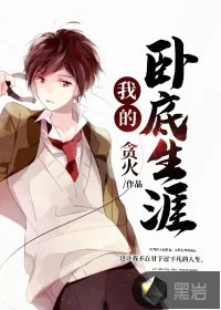 《我的卧底生涯》小说封面