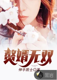 《赘婿无双》小说封面