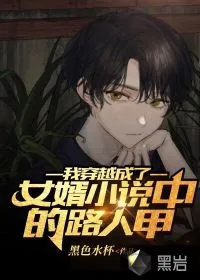 《我穿越成了女婿小说中的路人甲》小说封面