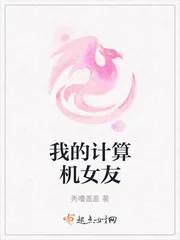 《我的计算机女友》小说封面