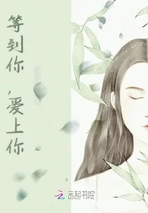 《等到你，爱上你》小说封面
