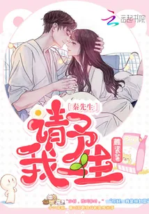 《秦先生，请予我一生》小说封面