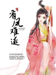 《有凤难逑》小说封面