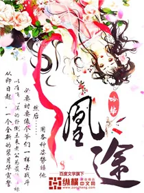《凰途》小说封面