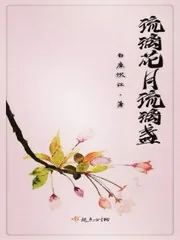 《琉璃花月琉璃盏》小说封面